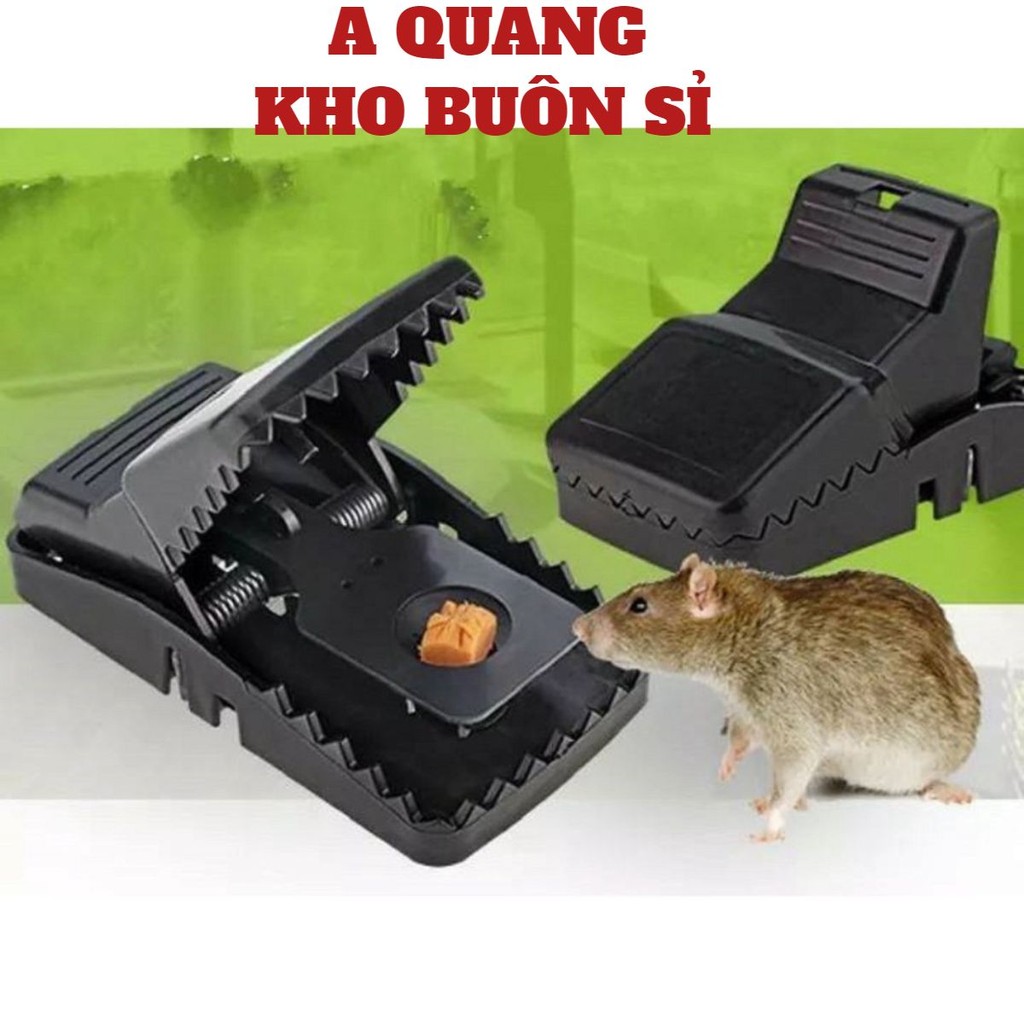 (COMBO 5 CÁI) CẠM BẪY CHUỘT BẰNG NHỰA PLULL