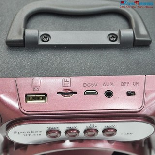Loa gỗ Bluetooth xách tay DL33