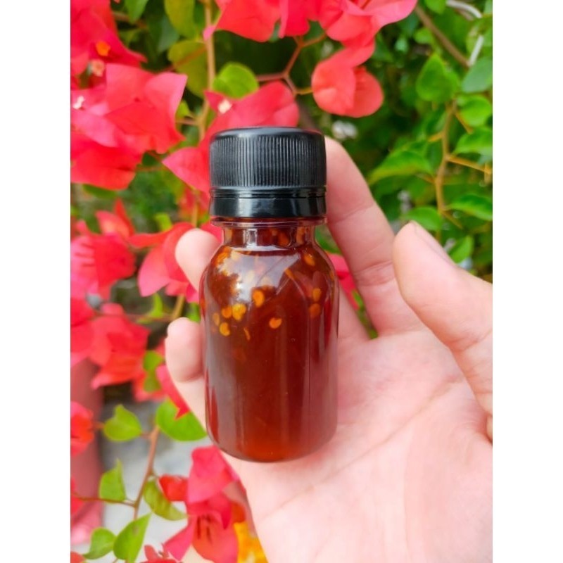 Chai sốt tắc chua chua cay cay siêu ngon