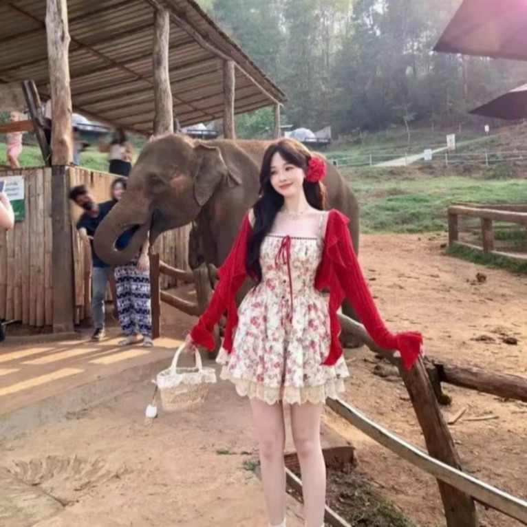 Sét váy 2 dây hoạ tiết hoa lá phối ren kèm khoác viền nơ đỏ /-rose /-rose /-rose