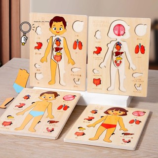 Montessori Gỗ Ghép Hình Trò Chơi Giải Phẫu Cơ Thể Con Người Xếp Hình Dụng Cụ Giáo Dục Cho Trẻ Em