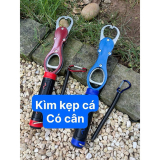 kìm kẹp cá có cân trọng lượng cá , chắc chắn dài 28cm hgvva345