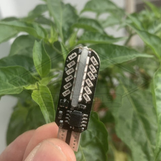 Đèn LED T15 Hiệu Ứng Audi Tròn Và Stop F1 Làm Đề Mi, Xi Nhan Wave, AB, Vision, Winner X