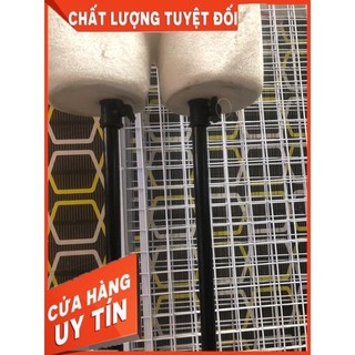 Manocanh Nhung Nữ