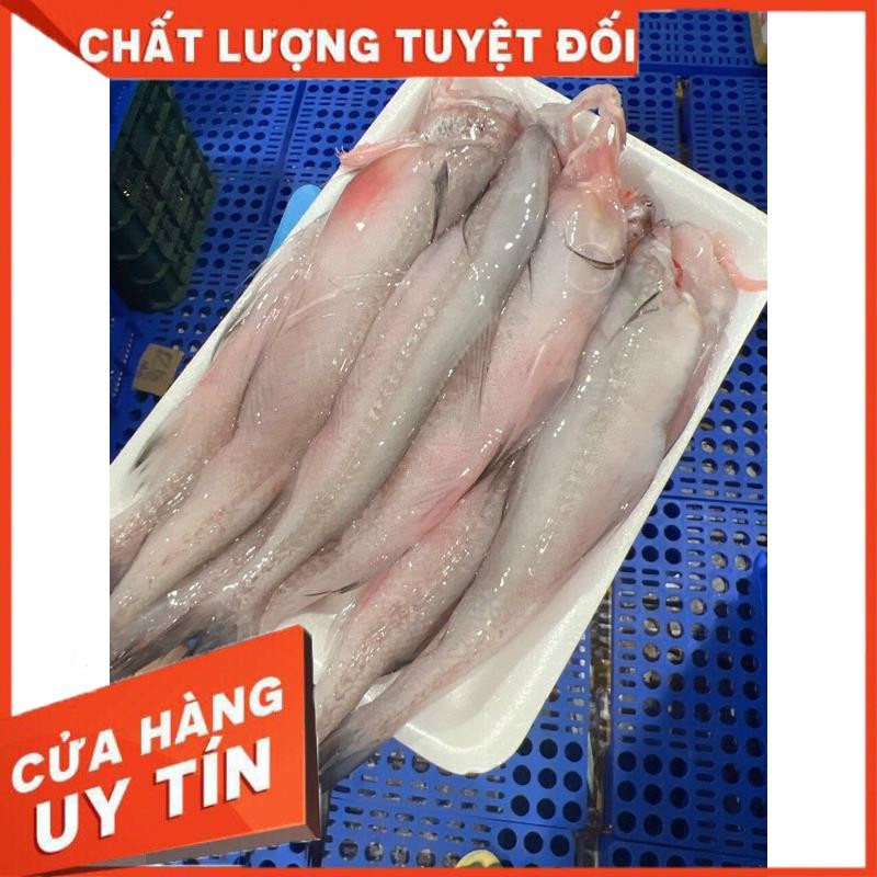 [ Hoả Tốc SG ] CÁ KHOAI TƯƠI- Khay 500gr