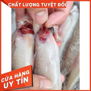 [ Hoả Tốc SG ] CÁ KHOAI TƯƠI- Khay 500gr