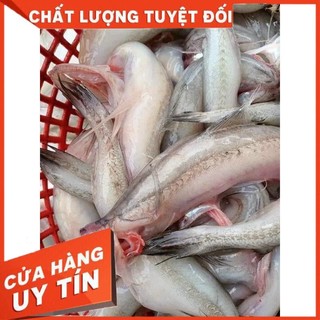 [ Hoả Tốc SG ] CÁ KHOAI TƯƠI- Khay 500gr