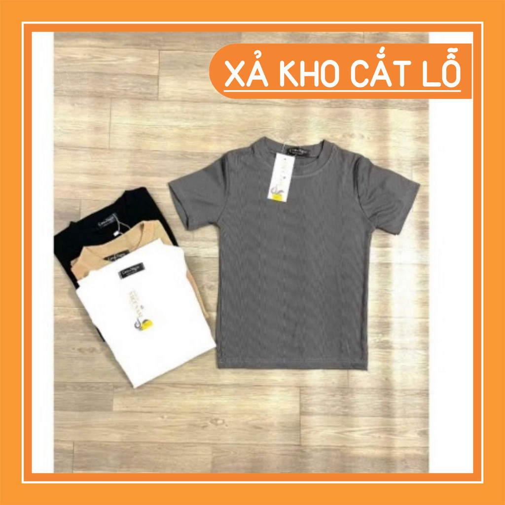 ÁO THUN BABY TEE TRƠN , BASIC TEE FORM ÔM, BABY TEE BODY | BigBuy360 - bigbuy360.vn