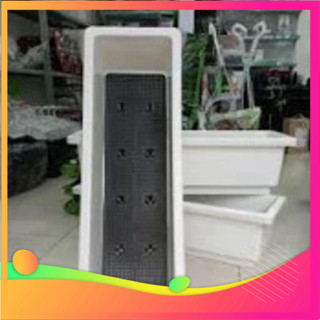  Combo 10 Chậu trồng rau chậu nhựa trồng hoa ,trồng cây trang trí thông thái dày đẹp 