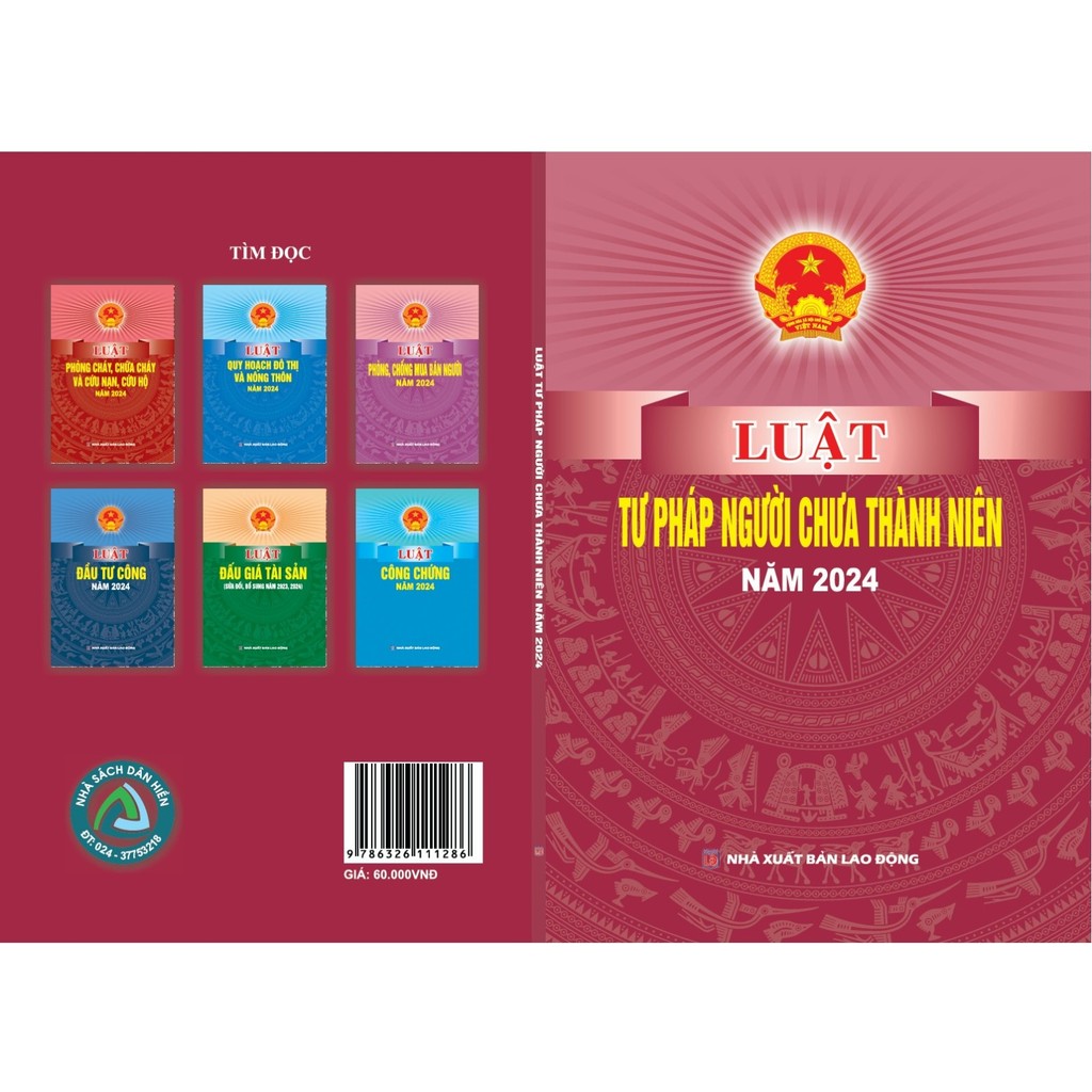 Sách - Luật tư pháp người chưa thành niên năm 2024 - DH