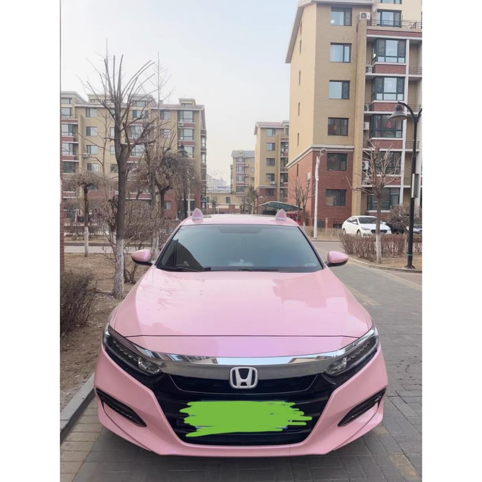 Phụ kiện Trang Trí Nóc Xe Ô Tô Tai Thỏ Mèo Dễ Thương