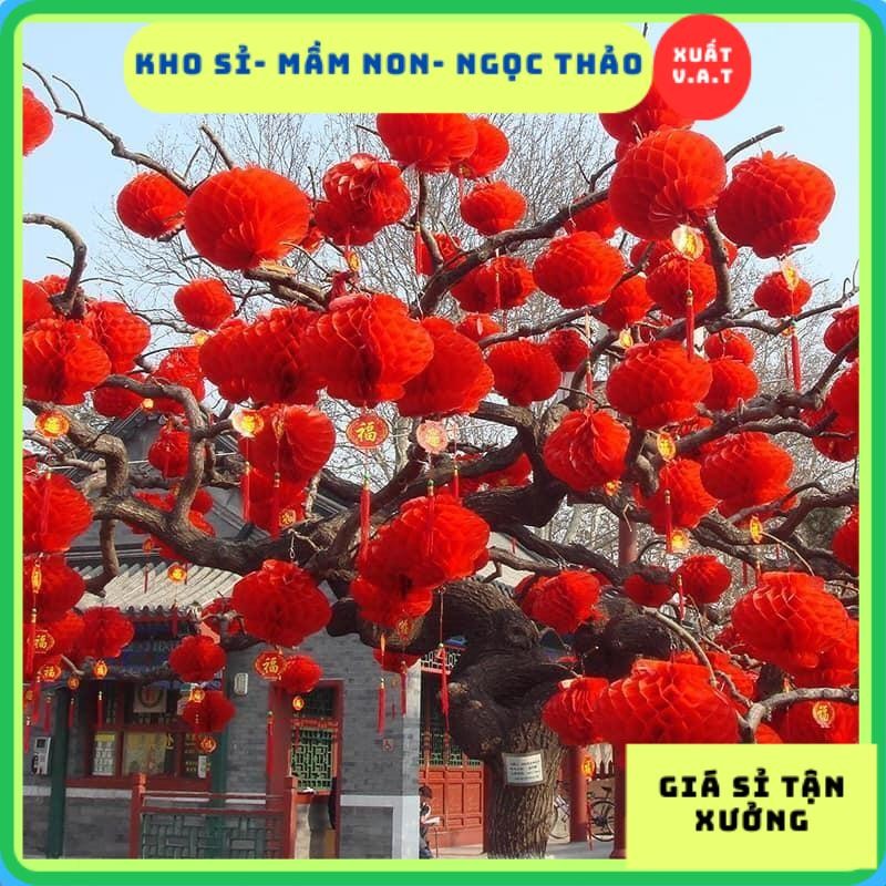 [HCM] Tết 2024 Đèn lồng giấy nilông đỏ chống nước trang trí tết văn phòng khai trương Đuôi chữ phúc