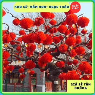 [Kho Sỉ] 10 Lồng đèn đỏ chữ Phúc