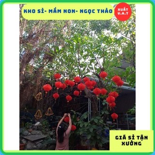 [Kho Sỉ] 10 Lồng đèn đỏ chữ Phúc