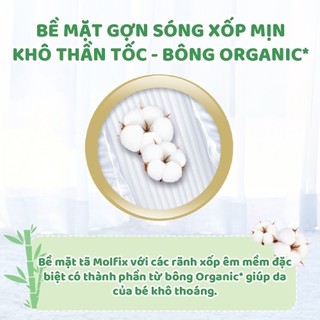 Tã quần thiên nhiên Molfix size Regular M (6kg - 11kg) - Gói 22+2 miếng