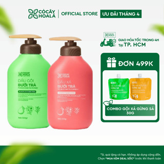 [HOẢ TỐC HCM] Combo Dầu Gội Xả Thảo Dược Cỏ Cây Hoa Lá Bưởi Trà Phục Hồi Tóc Hư Tổn 500g