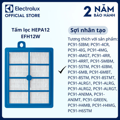 Tấm lọc Electrolux HEPA12 EFH12W, hiệu quả lọc bụi