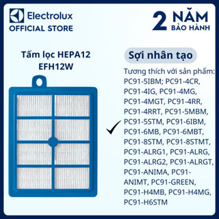 Tấm lọc Electrolux HEPA12 EFH12W, hiệu quả lọc bụi