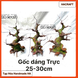  Gốc bonsai thân cây bonsai 25-30cm dáng Trực làm hoa mai đào trang trí nhà đón tết S0300 HACRAFT 