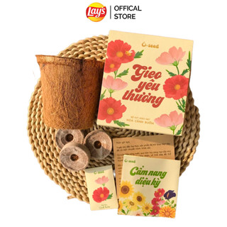 Quà tặng Bộ Kit Trồng Cây