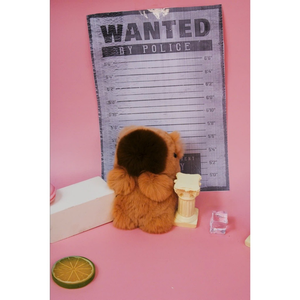 [2WinStore] Móc Khoá Hình Thú Lông Mềm Trang Trí Cá Tính