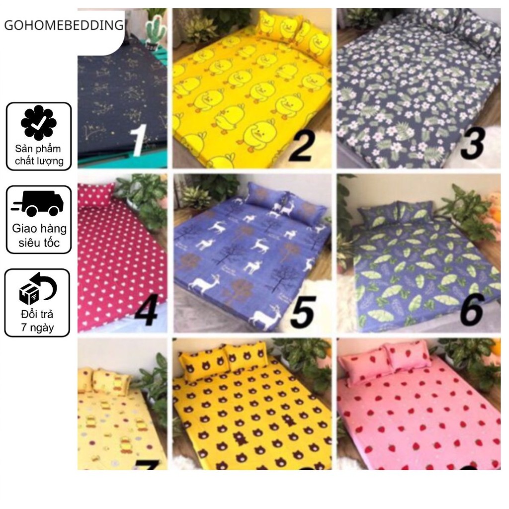 Bộ ga gối 3 món 2m2
