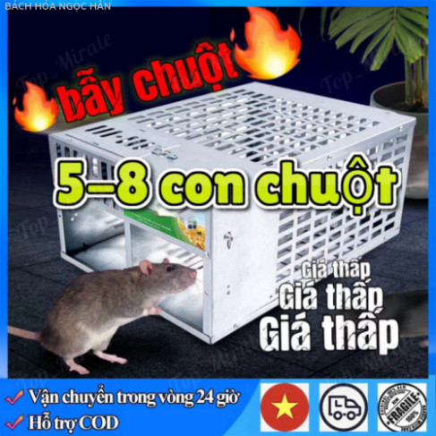 Lồng Bẫy Chuột Tự Động Thông Minh Bẫy chuột lồng có thể tái sử dụng Mouse Trap s11 s13