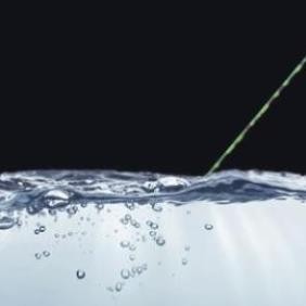 Cước câu cá tàng hình dây câu cá Nylon CK power 500m tải cá tốt dùng làm dây trục câu cá CK500 cần c