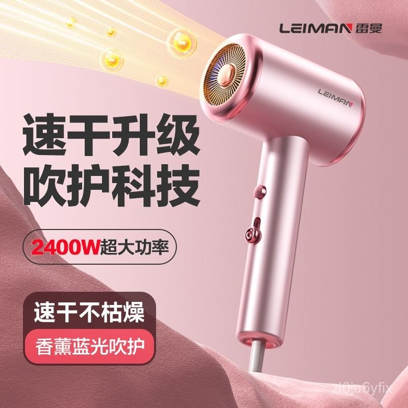 【8688Có người ở đây12Giao Hàng Trong Vòng Vài Giờ】Leiman Máy Sấy Tóc Lehman, Máy Sấy Tóc Công Suất L