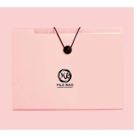 VIDEO THẬT - Túi đựng tài liệu tệp đựng tài liệu nhiều ngăn kẹp tài liệu A4 đựng đề cương - TÚI TL