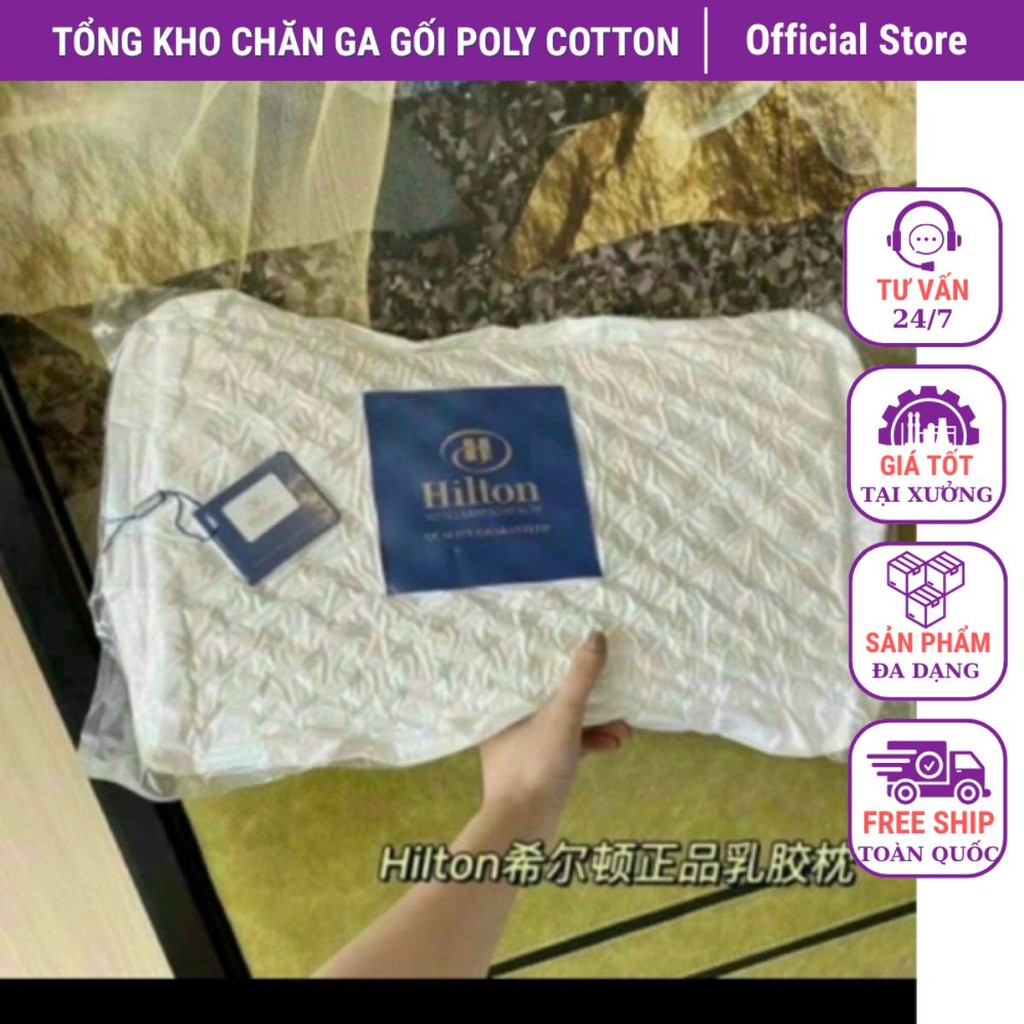 Gối cao su non HITON cao cấp