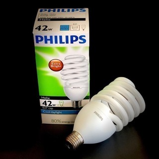 Bóng đèn LED PHILIPS Helix 42W (01 bóng)