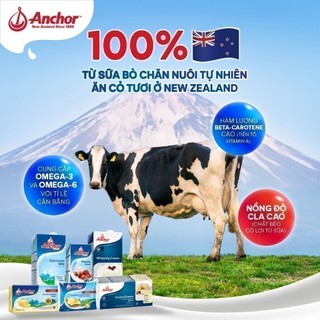 [HỎA TỐC NỘI THÀNH HCM & HN] Bơ mặn Anchor miếng 200G
