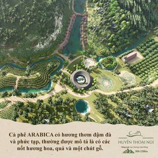 Cà Phê Chồn Arabica Blend Mountain Legend 200g – Vị Cam Chanh, 10% Cà Phê Chồn, Nguyên Chất Lâm Đồng