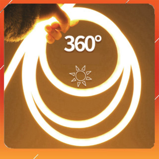 NEON 360 COMBO 25MÉT , 30 MÉT DÂY ĐÈN LED LOẠI 220V KÈM DÂY NGUỒN