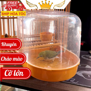 Lồng tắm chim chào mào, khuyên - Lồng tắm chim cài lồng cỡ lớn tiện lợi - Ricky bird shop