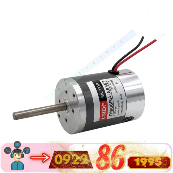 DC Động Cơ Dm05ra DC Có Bàn Chải Động Cơ Điện Nam Châm Vĩnh Cửu DC 12V/24V DC Động Cơ mới