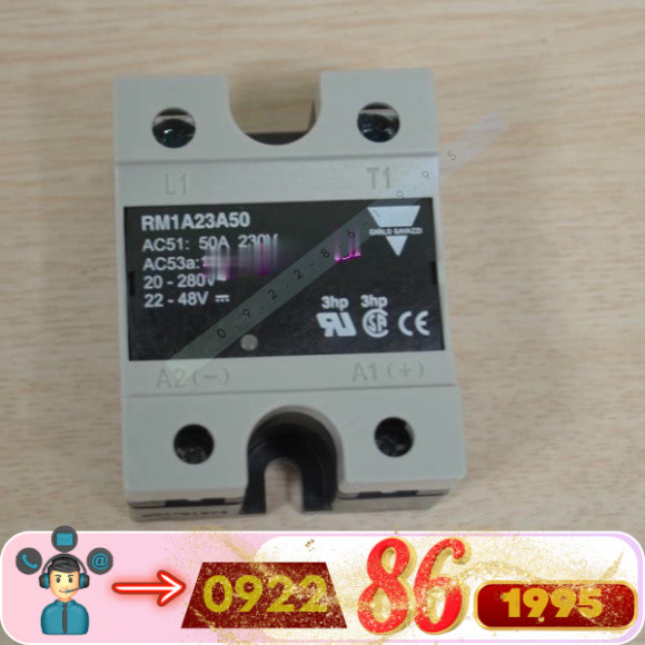 Rơ Le Rắn Rm1a23a50  Jiale Carlo Gavazzi mới