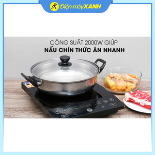 Bếp từ BlueStone ICB-6609