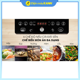 Bếp từ BlueStone ICB-6609