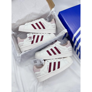  Giày Sò Sao Mận nữ kèm hộp Giày thể thao nữ Sò Mận 