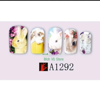 Decal nước dán móng mã A