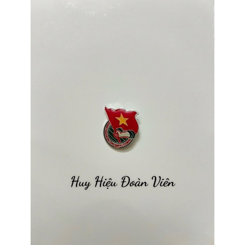 Huy Hiệu Đoàn Viên