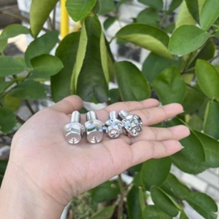 [SALE] Ốc pass heo Yamaha - Honda Inox304 ( 10li23 - 8li25 )  - DIAMOND SALAYA