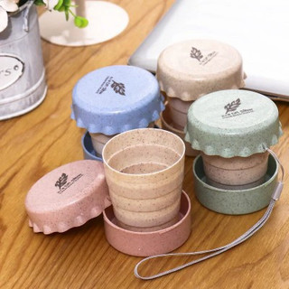 LY GẤP GỌN LÚA MẠCH DU LỊCH TIỆN LỢI