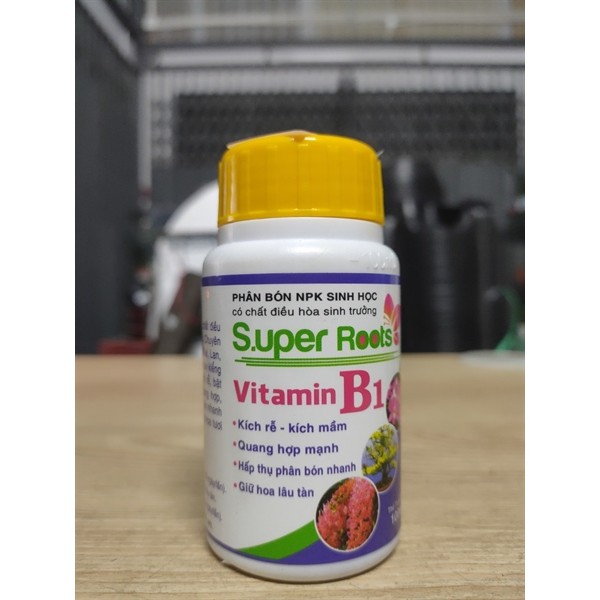 SUPER ROOT VITAMIN B1 (100ML)