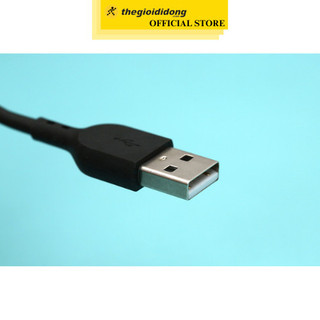 Cáp Type C 2m AVA+ DS08C dây cáp dài đến 2m