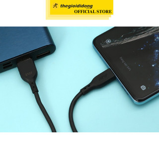 Cáp Type C 2m AVA+ DS08C dây cáp dài đến 2m