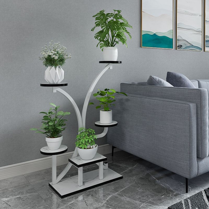 Kệ Hoa Vàng Bắc Âu Kệ Hoa Sắt Rèn Trong Nhà Phòng Khách Kệ Hoa Nhiều Tầng Củ Cải Xanh Nhiều Thịt Kệ 