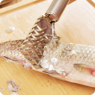 Dụng Cụ Lóc Vảy Cá Inox – Đánh Da Cá Nhanh Gọn, Không Bắn Vảy